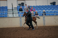 2019 Morgan Horse Show - Aug 30, 2019 - 24662
