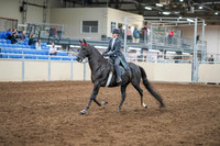 2020 - AB Morgan Horse - Sun, Sept 06 - 08295