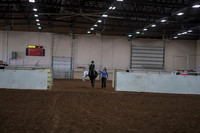 2019 Morgan Horse Show - Aug 30, 2019 - 12668
