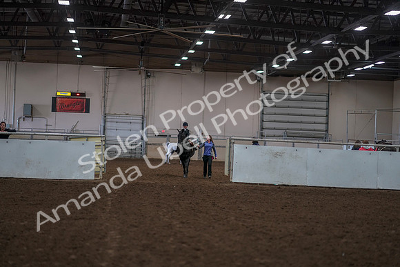 2019 Morgan Horse Show - Aug 30, 2019 - 12668
