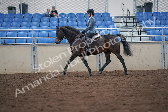 2019 Morgan Horse Show - Aug 30, 2019 - 18427