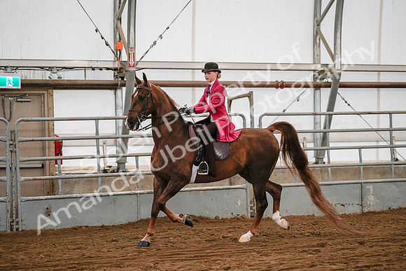 July 19, 2019 - 8730