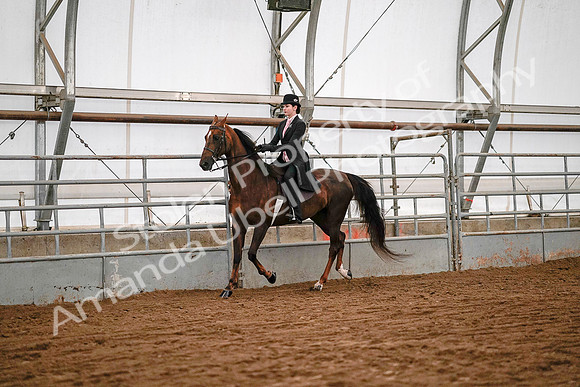July 19, 2019 - 8764