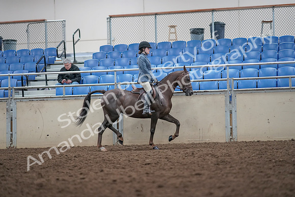 2019 Morgan Horse Show - Aug 31, 2019 - 16736