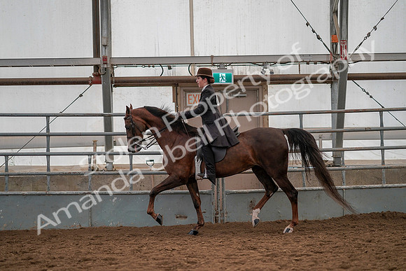 July 19, 2019 - 12816