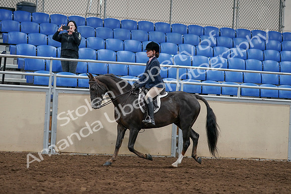 2020 - AB Morgan Horse - Sun, Sept 06 - 07747