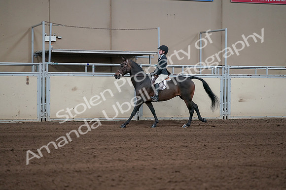 2019 Morgan Horse Show - Sept 01, 2019 - 03762