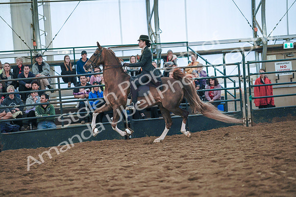 July 20, 2019 - 24090