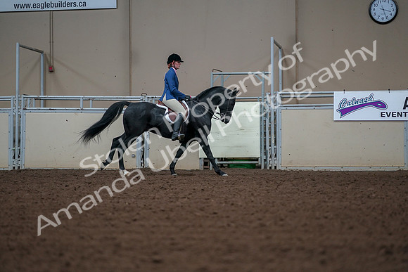 2019 Morgan Horse Show - Aug 30, 2019 - 18620