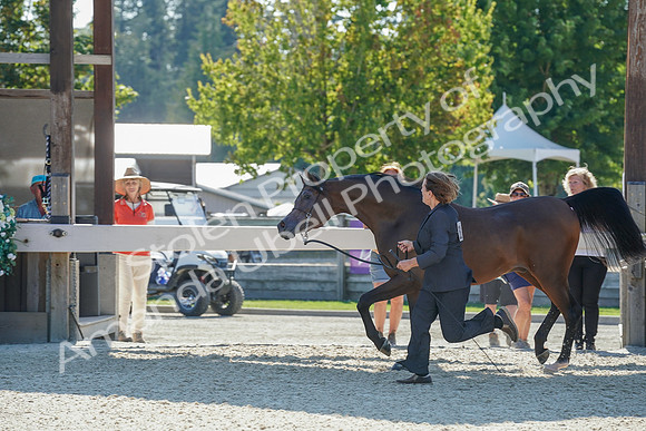 2024 - WCB - July 19 - 03750