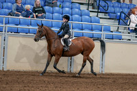 2020 - AB Morgan Horse - Sat, Sept 05 - 10617