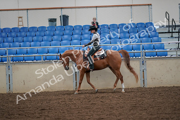 2019 Morgan Horse Show - Aug 30, 2019 - 16864