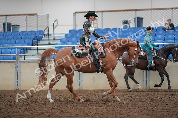 2019 Morgan Horse Show - Aug 30, 2019 - 16969