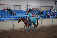 2019 Morgan Horse Show - Aug 31, 2019 - 09939