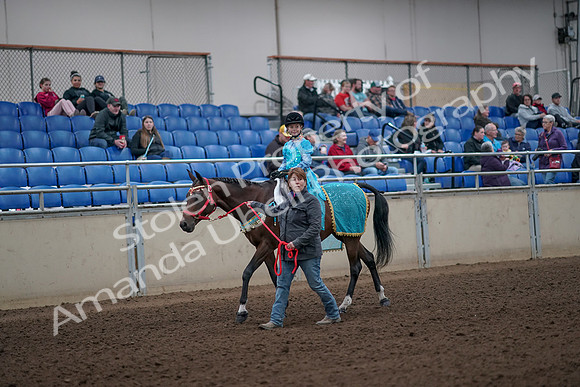 2019 Morgan Horse Show - Aug 31, 2019 - 09939