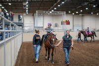 2020 - AB Morgan Horse - Sat, Sept 05 - 10074