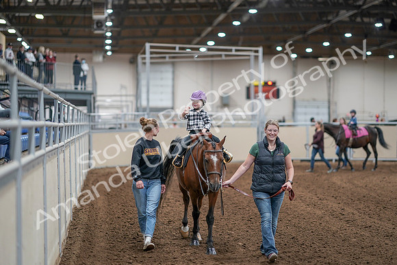 2020 - AB Morgan Horse - Sat, Sept 05 - 10074