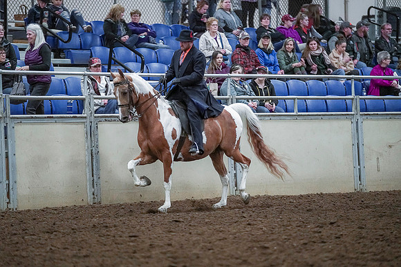 Spring Fling - Saturday - April 20, 2019  -  00730