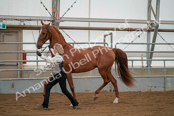 July 19, 2019 - 1356