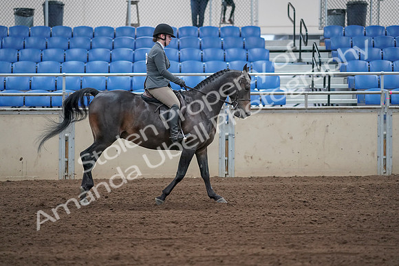 2019 Morgan Horse Show - Sept 01, 2019 - 11069