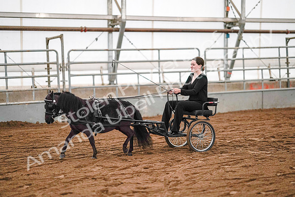 July 19, 2019 - 7004