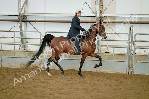 July 21, 2019 - 01801