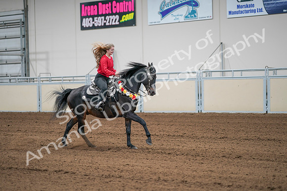 2020 - AB Morgan Horse - Sat, Sept 05 - 10542