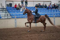 2019 Morgan Horse Show - Aug 31, 2019 - 20363
