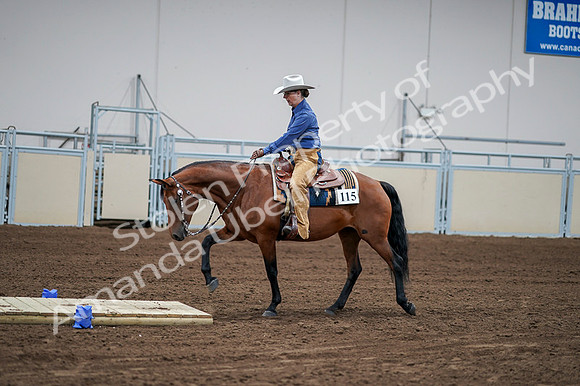 2020 - AB Morgan Horse - Fri, Sept 04 - 00158