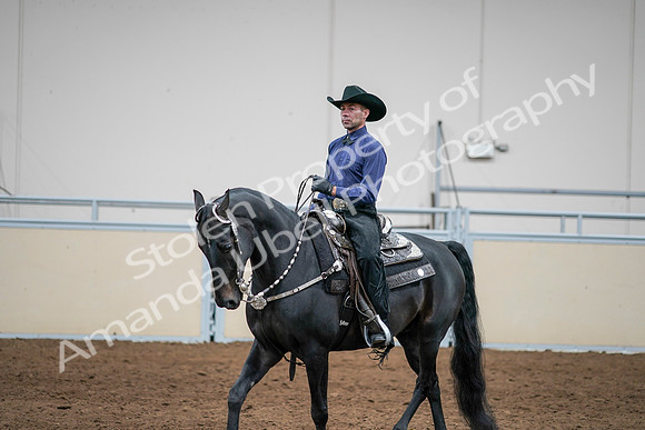 2020 - AB Morgan Horse - Sun, Sept 06 - 07604