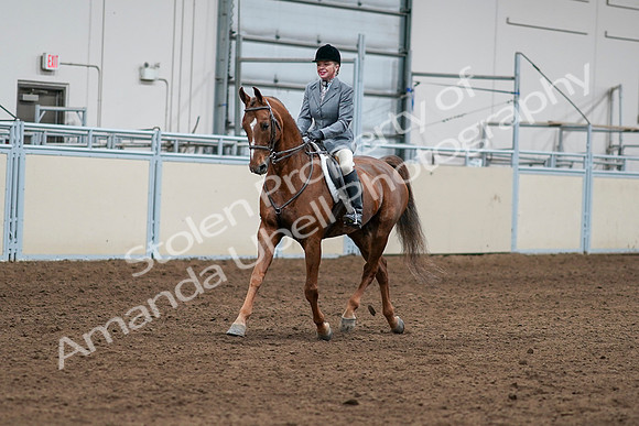 2020 - AB Morgan Horse - Sat, Sept 05 - 03241