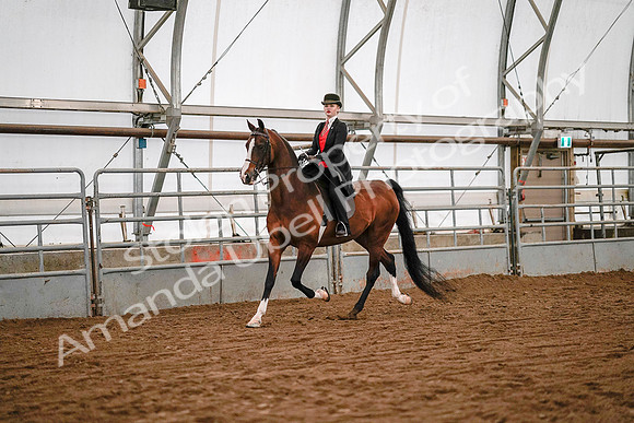 July 19, 2019 - 8704