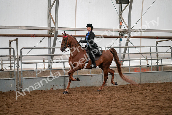 July 19, 2019 - 10459