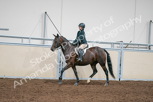 2020 - AB Morgan Horse - Sat, Sept 05 - 09074