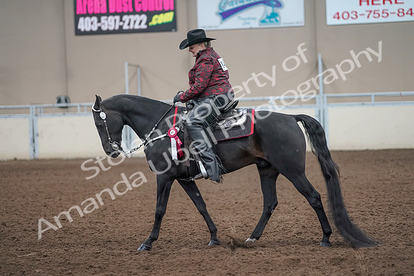 2019 Morgan Horse Show - Aug 31, 2019 - 10821