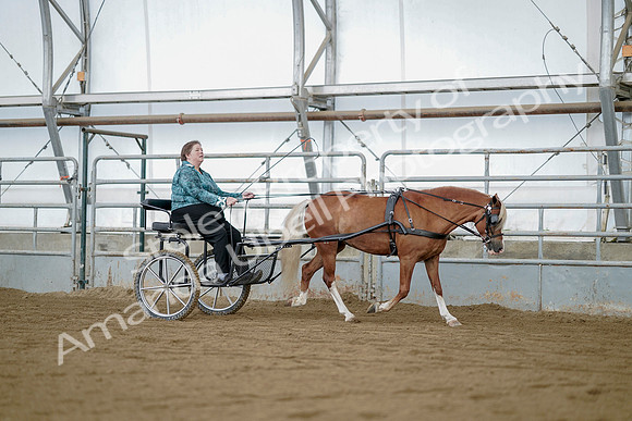 July 21, 2019 - 05993