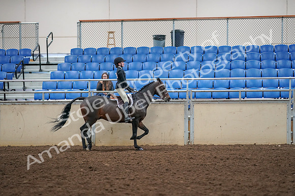 2019 Morgan Horse Show - Aug 30, 2019 - 12429