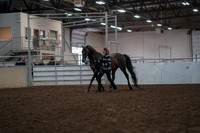 2019 Morgan Horse Show - Aug 31, 2019 - 03386