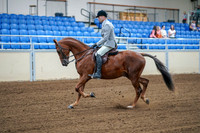 2020 - AB Morgan Horse - Fri, Sept 04 - 01472
