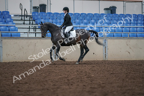 2019 Morgan Horse Show - Aug 30, 2019 - 18440
