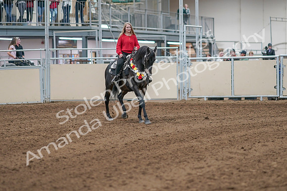 2020 - AB Morgan Horse - Sat, Sept 05 - 10516