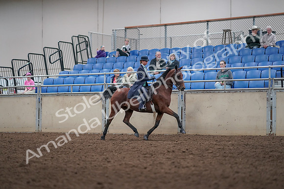 2019 Morgan Horse Show - Aug 31, 2019 - 09525