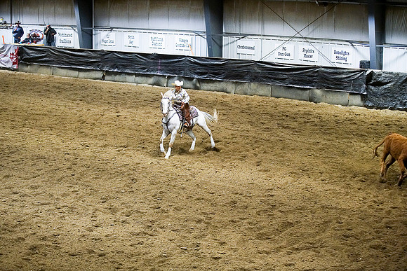 DSC04686