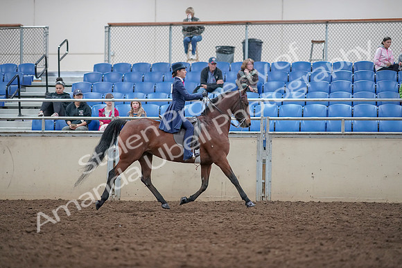 2019 Morgan Horse Show - Aug 31, 2019 - 09583