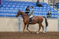 2020 - AB Morgan Horse - Sat, Sept 05 - 02613
