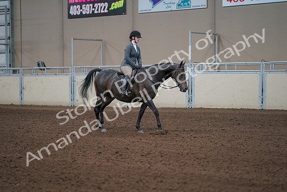 2019 Morgan Horse Show - Sept 01, 2019 - 11073