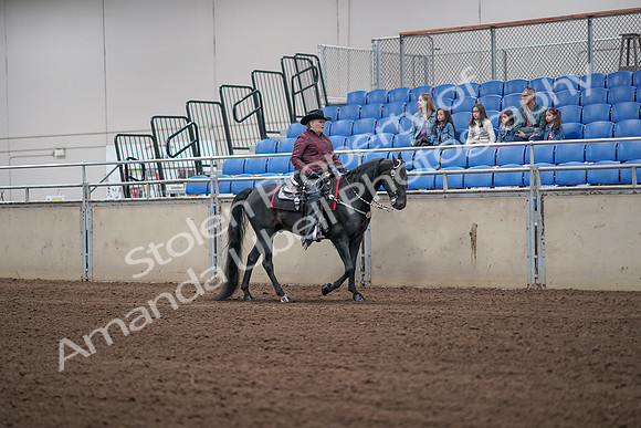 2019 Morgan Horse Show - Aug 31, 2019 - 10661