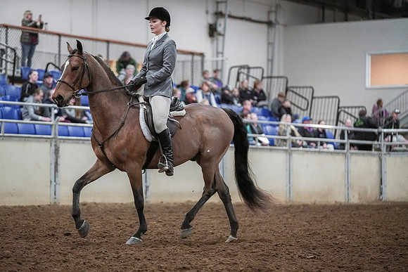 Spring Fling - Saturday - April 20, 2019  -  03747