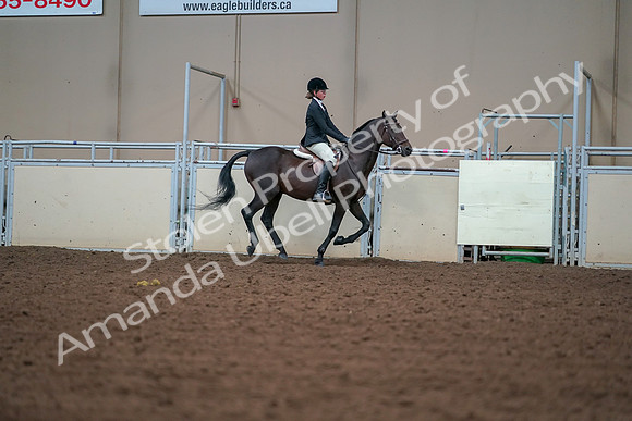 2019 Morgan Horse Show - Aug 30, 2019 - 21076