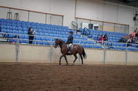 2019 Morgan Horse Show - Aug 30, 2019 - 12662